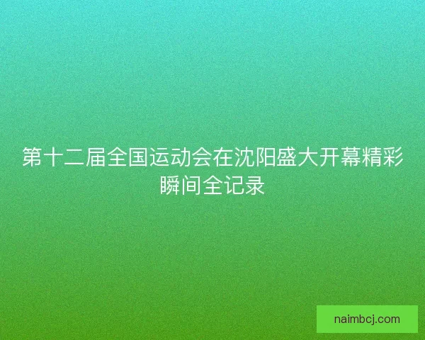 第十二届全国运动会在沈阳盛大开幕精彩瞬间全记录