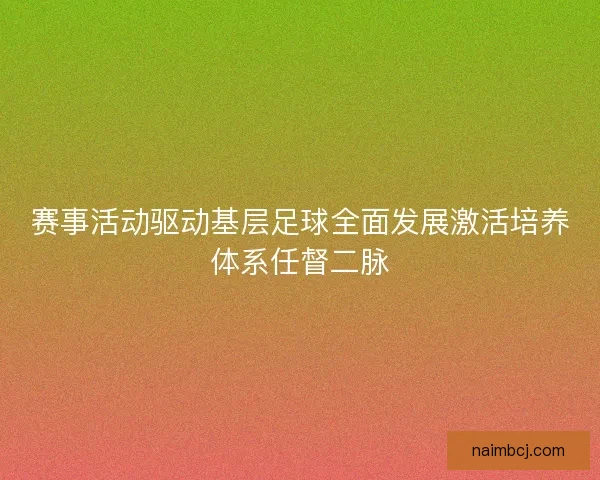 赛事活动驱动基层足球全面发展激活培养体系任督二脉