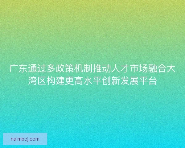 广东通过多政策机制推动人才市场融合大湾区构建更高水平创新发展平台